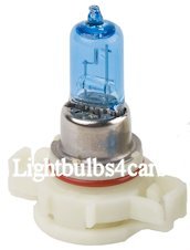 2504 white fog light bulbs